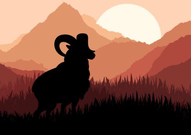 Mountain sheep in wild nature landscape illustration clipart