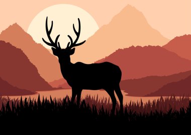 Deer in wild nature landscape illustration clipart