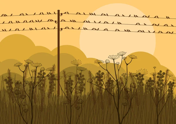 Uccelli su fili in autunno campagna paesaggio sfondo illustrazione — Vettoriale Stock