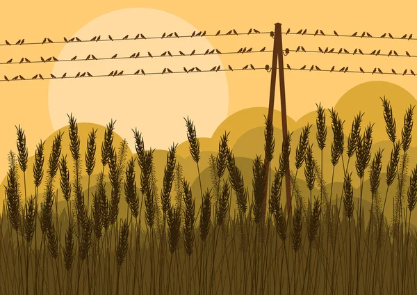 Птахи на дротах в осінньому сільському пейзажному фоні ілюстрація — стоковий вектор