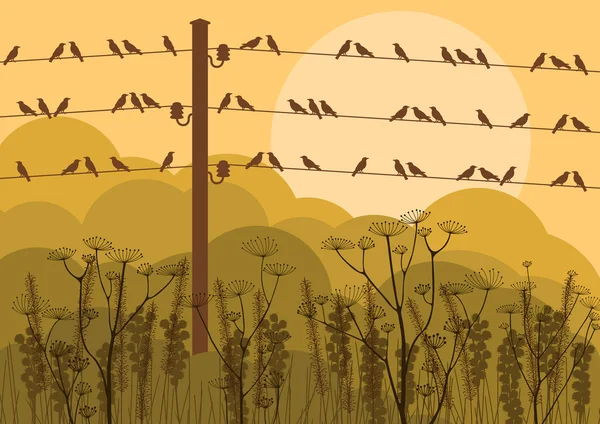 Arka plan illüstrasyon kuşlarda teller sonbahar kırsal manzara — Stok Vektör