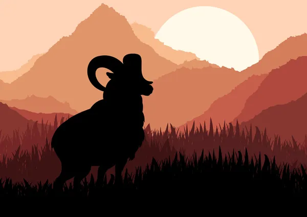 Mountain schapen in wilde natuur landschap illustratie — Stockvector