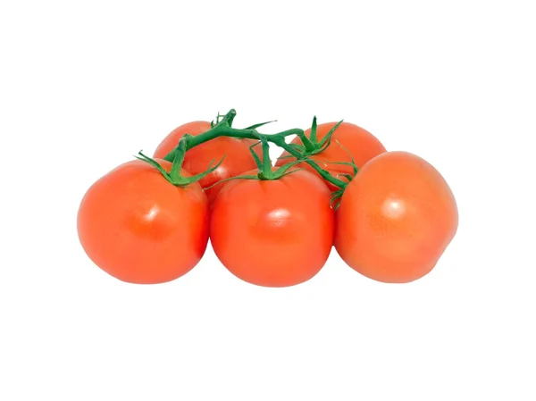 Tomaten 1 — Stockfoto