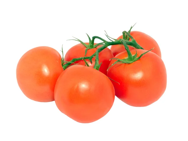 Pomidory 3 — Zdjęcie stockowe