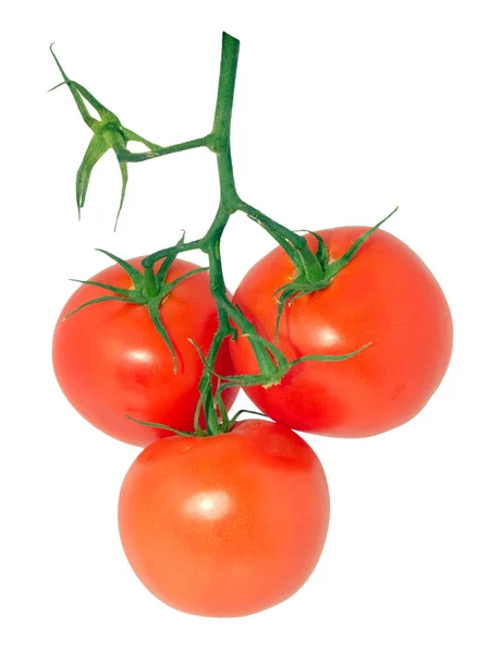 Pomodori 7 — Foto Stock