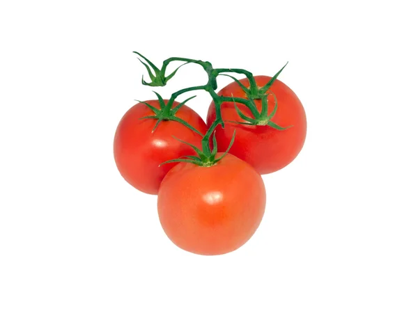 Pomodori 8 — Foto Stock
