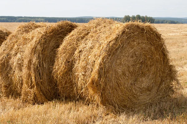Two stacks of hay Royalty Free Stock Photos