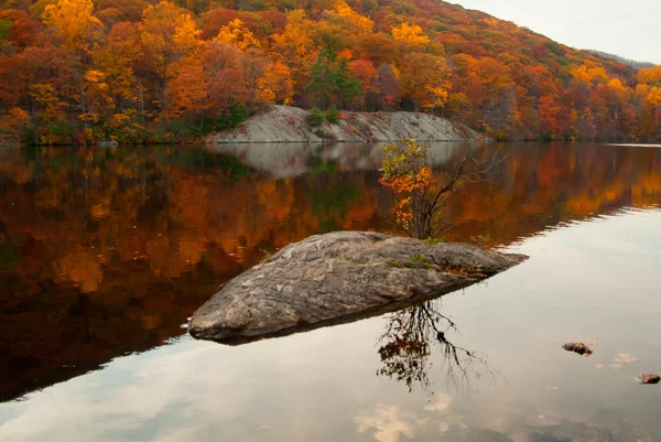 Krásné barvy pádu odráží v forest lake. — Stock fotografie