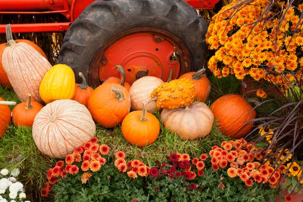 Decoraciones de otoño en la granja . —  Fotos de Stock
