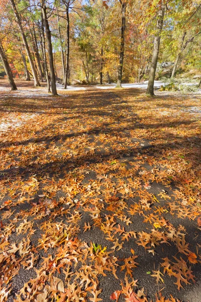Fall Scenery. — Stock Photo, Image