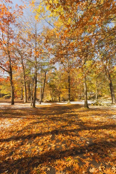 Fall Scenery. — Stock Photo, Image