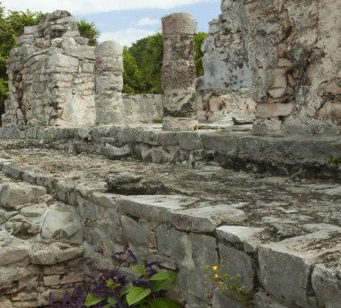 Mayan Ruins. clipart