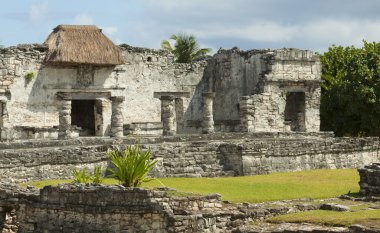 Maya harabelerini.