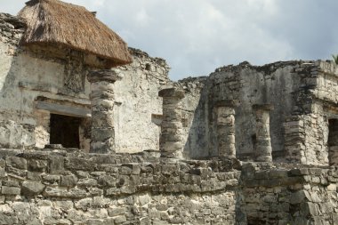 Maya harabelerini.