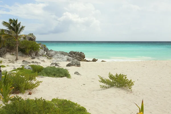 Spiaggia dei Caraibi. — Foto Stock