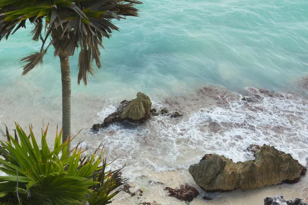 Praia do Caribe. — Fotografia de Stock