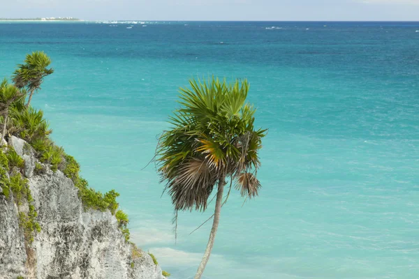 Карибский пляж. — стоковое фото