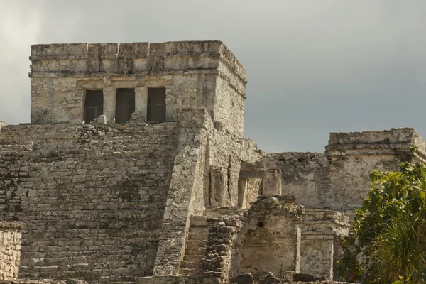 Mayan ruiner. — Stockfoto