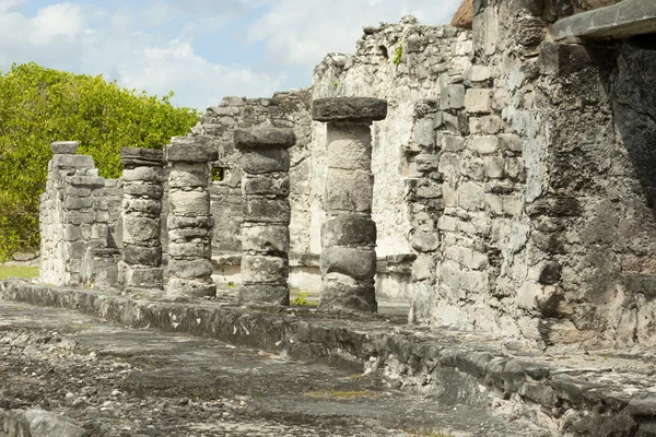 Mayské ruiny. — Stock fotografie