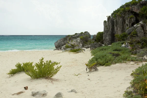 stock image Caribbean beach.