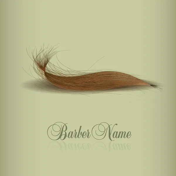 Hair logo for your design. vector illustration — Stock Vector