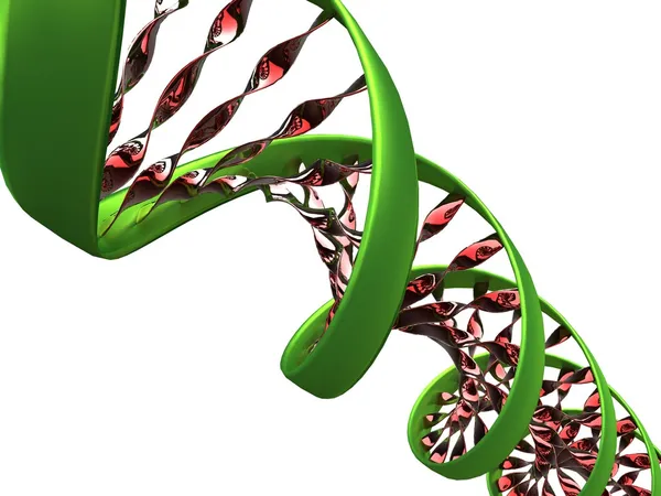 DNS-molekulában Stock Kép