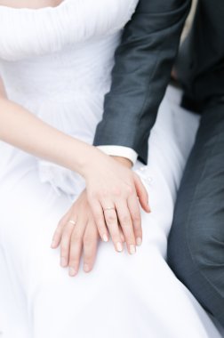 Bride and groom hands clipart
