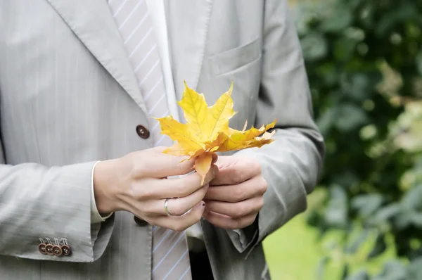 Groom holding leaf — Stock Photo, Image
