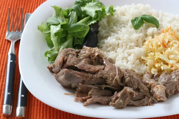 Truthahn mit Reis und Salat — Stockfoto