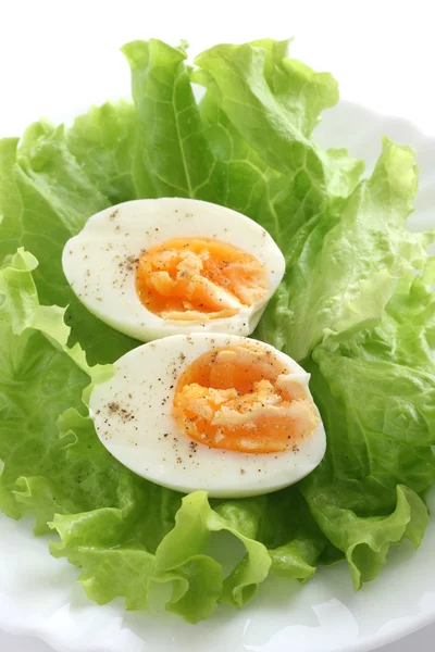 Boiled egg on lettuce — Stock Photo, Image