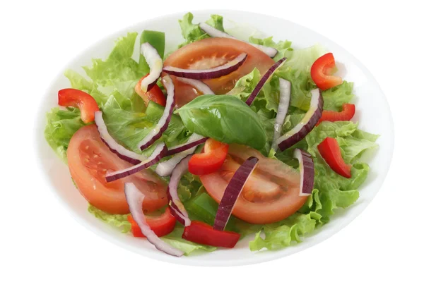 Kırmızı soğan salatası — Stok fotoğraf