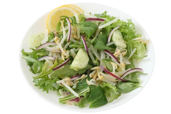 Овочевий салат з цибулею — стокове фото