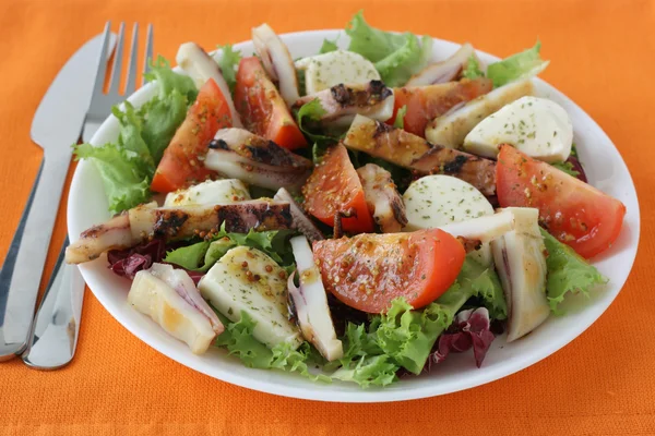 Salad with squid and cheese mozzarella — Stock Photo, Image