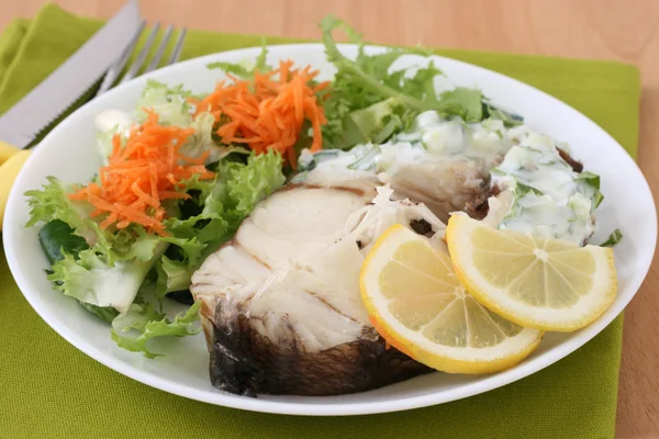 Boiled fish with salad and sauce — Stock Photo, Image