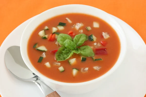 Sopa de tomate en tazón blanco — Foto de Stock