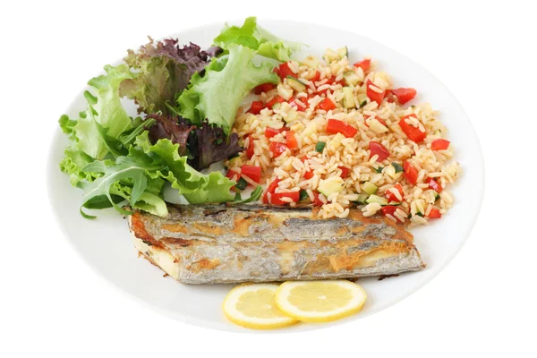 Gebratener Schwertfisch mit Reis — Stockfoto