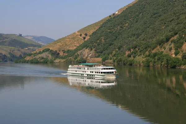 stock image View on river Douro