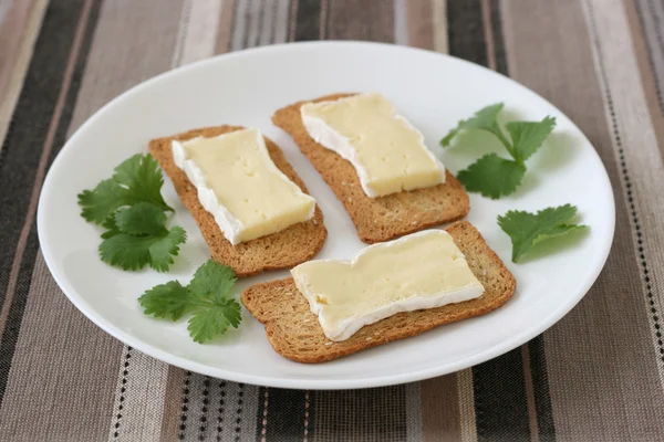 Toasts with cheese — Stock Photo, Image