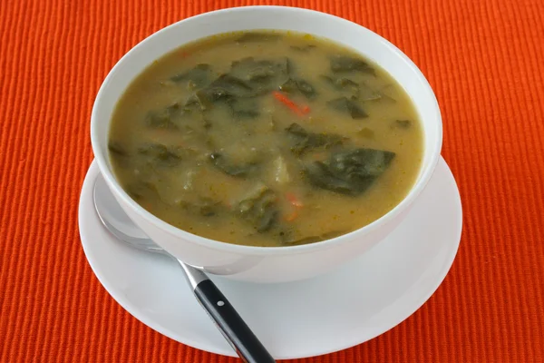Zuppa di verdure in ciotola — Foto Stock