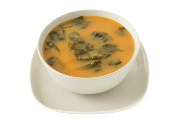 stock image Spinach soup