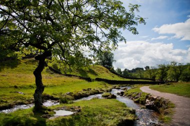 yorkshire dales national park İngiltere'de güzel manzara