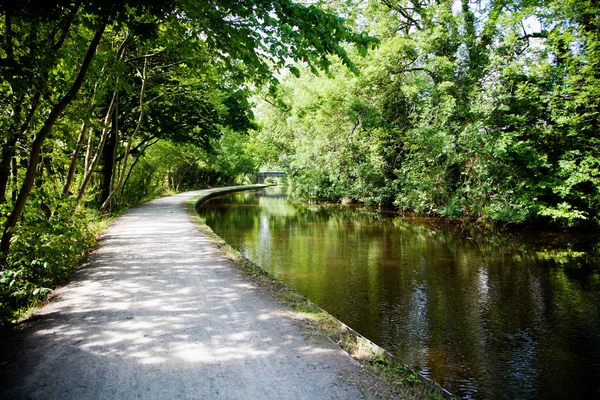 stock image Summer landscape