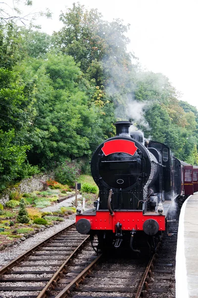 stock image Steam train