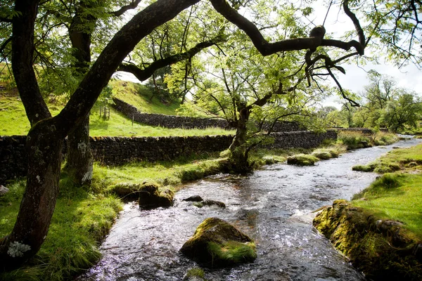 Wunderschöne landschaft im yorkshire dales nationalpark in england — Stockfoto