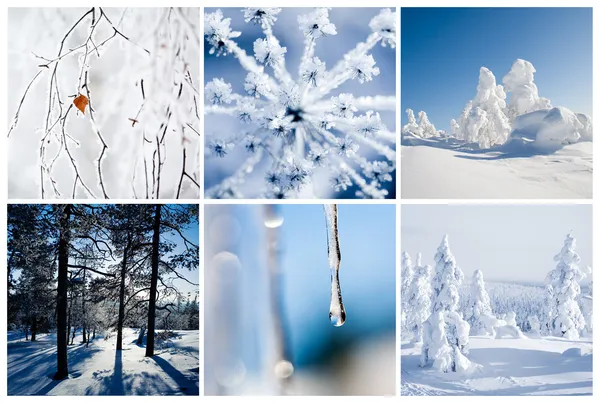 stock image Winter