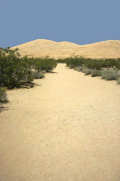 stock image The Dunes