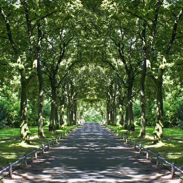Avenue reflection — Stock Photo, Image