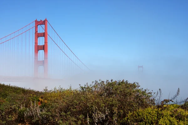 Golden Gate Bridge — Fotografie, imagine de stoc