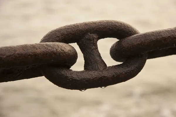 stock image Rusty chain