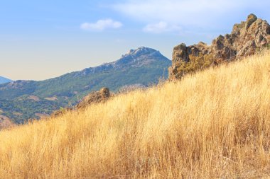 Karadağ Dağı'nda kuru ot. Kırım, Ukrayna